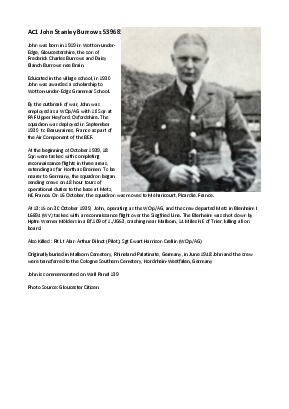 A preview of a PDF biography for Burrows, John Stanley